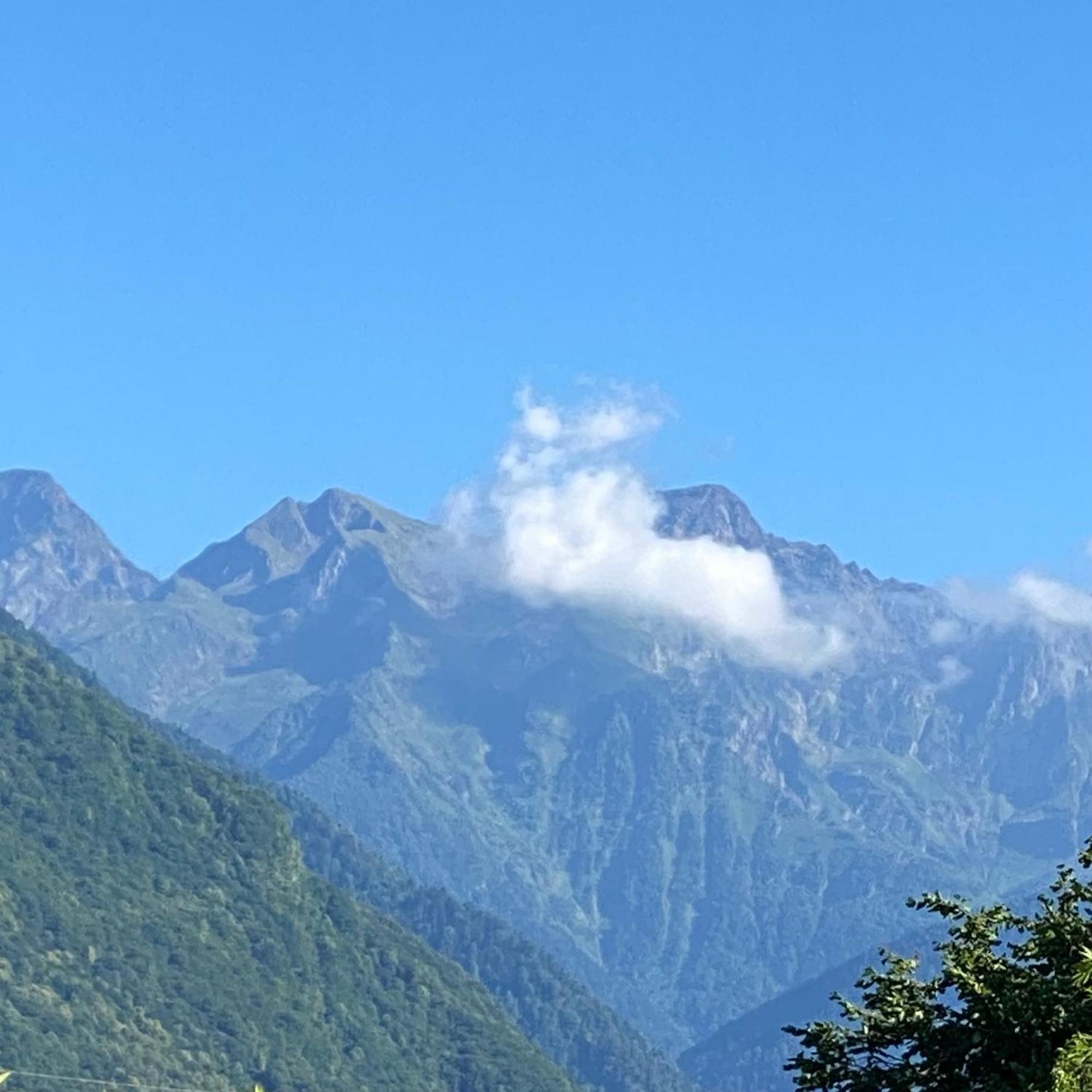 Newly Renovated Ground Floor Apartment Close To Thermes Bagnères-de-Luchon Eksteriør billede